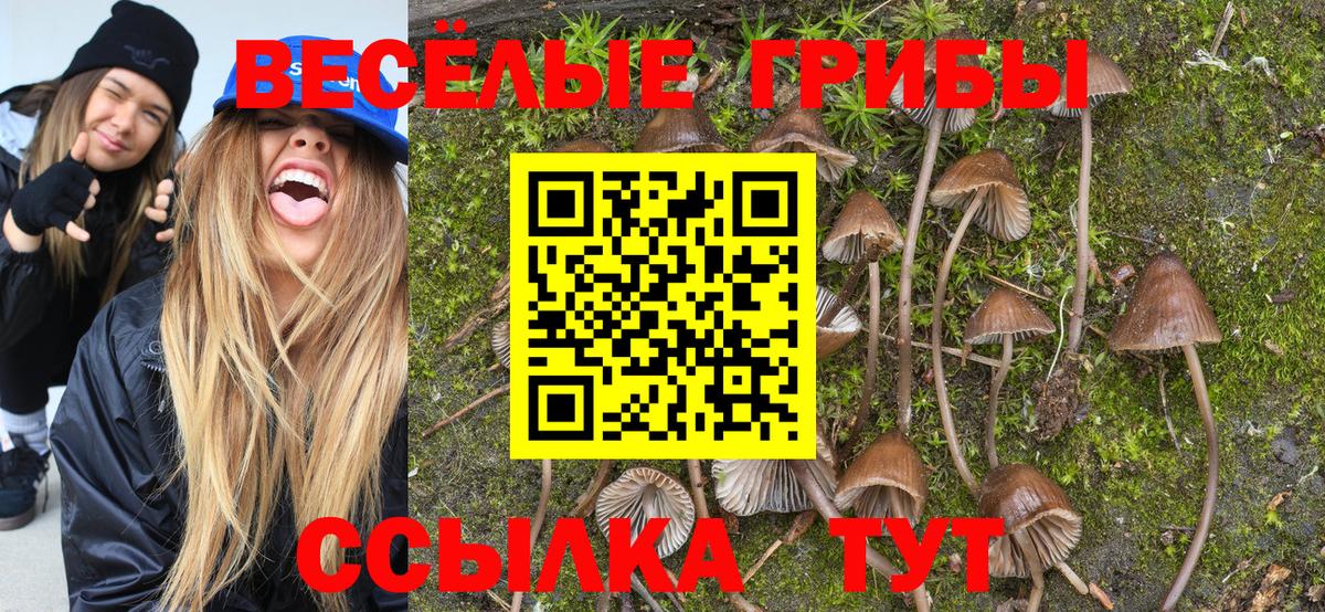 Галлюциногенные грибы Cubensis  Вход с VPN  Псилоцибиновые грибы Magic Shrooms  хочу   Татарск 